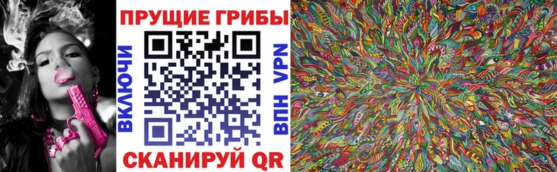 Купить  Бугульма  Псилоцибиновые грибы GOLDEN TEACHER 